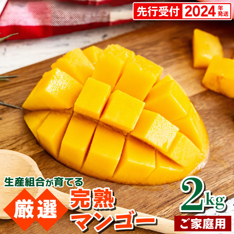 食品 完熟マンゴー 家庭用（良）3KG | www.cryopraxis.com.br