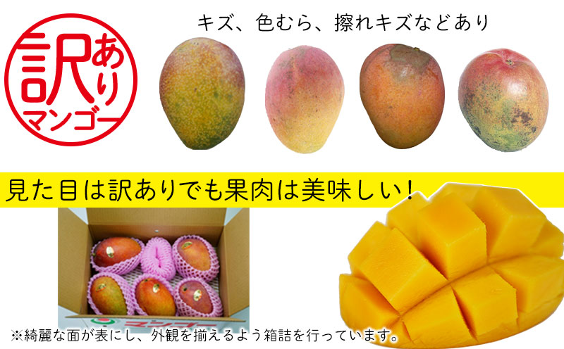 2023年発送】訳あり品！沖縄県北中城村 完熟マンゴー（中）×1箱（約1.5kg）: 沖縄県北中城村｜JRE MALLふるさと納税