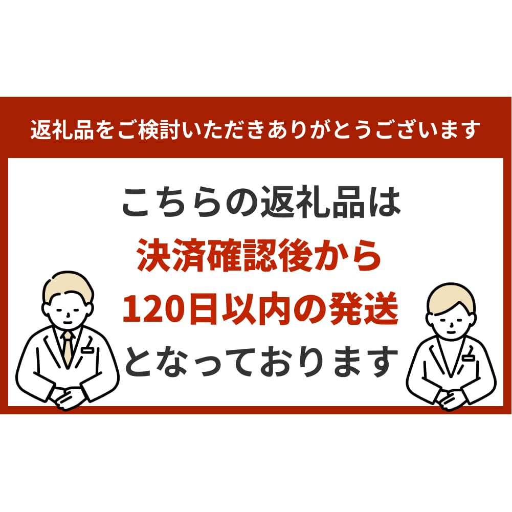 沖縄の観葉植物 人気のフィカス アルテシマ10号 シュエット鉢ポット