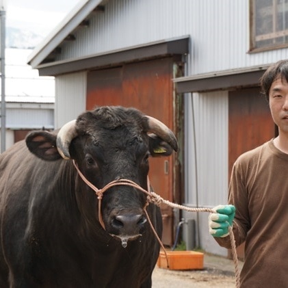 朝日町産 とやま和牛 焼肉用 800g 和牛 肉 / JAみな穂 / 富山県 朝日町