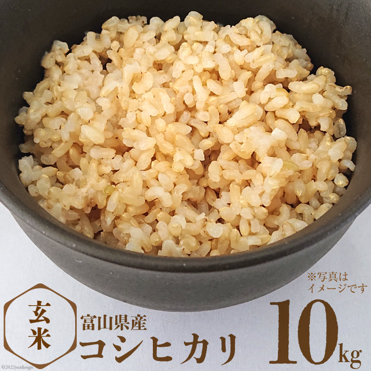 ふるさと納税】米 コシヒカリ 玄米 10kg / サンライス青木 / 富山県