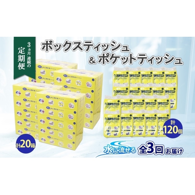 定期便 3カ月連続3回 北海道産 とけまるくん ボックスティッシュ 20箱