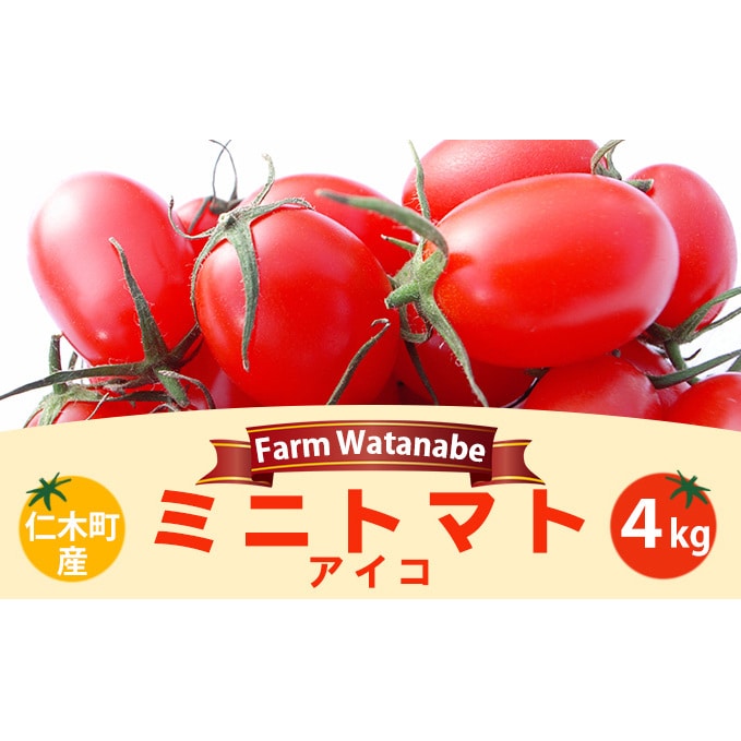 野菜・きのこ/トマト(価格(安い順) 3ページ)の返礼品一覧｜JRE MALL