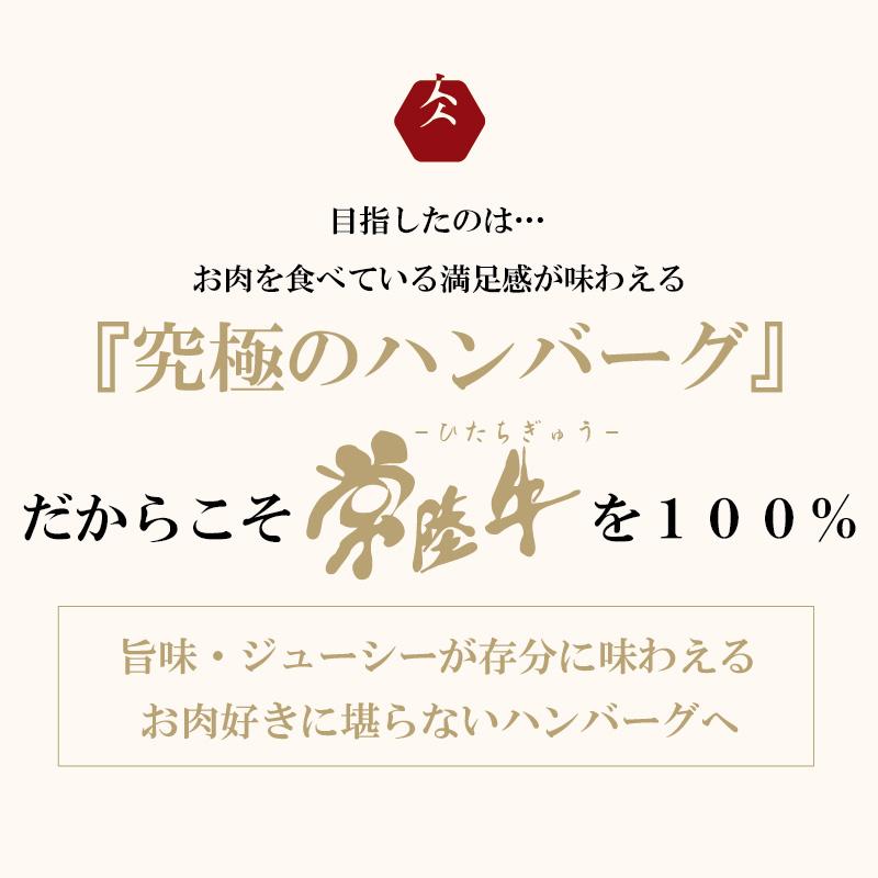 常陸牛ハンバーグ100g×6個【肉のイイジマ】: 茨城県水戸市｜JRE MALLふるさと納税