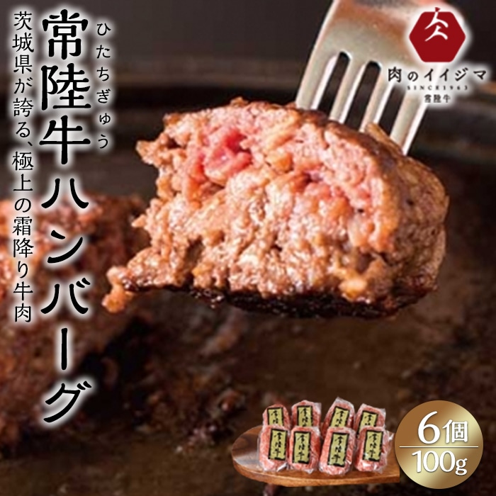 常陸牛ハンバーグ100g×6個【肉のイイジマ】: 茨城県水戸市｜JRE MALLふるさと納税