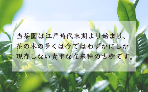 楠森堂 実生在来茶3種: 福岡県うきは市｜JRE MALLふるさと納税