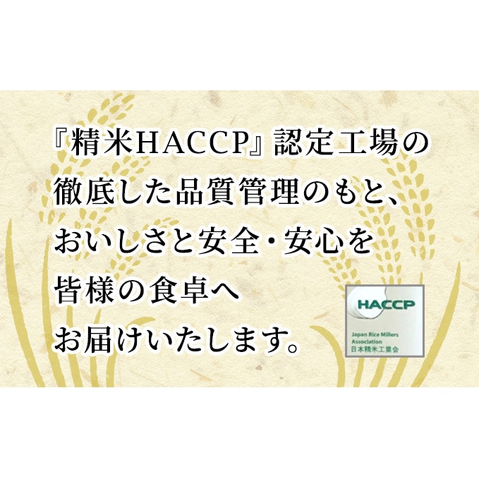 令和4年産 あきたこまち 精米 20kg 5kg×4袋 秋田食糧卸販売 秋田県