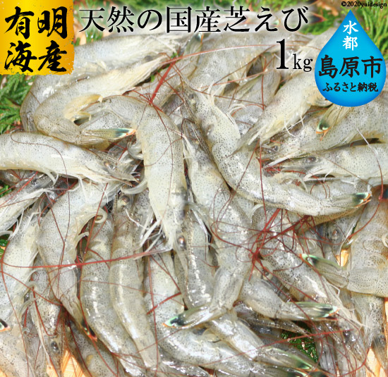 活き〆 天然小エビ 1kg 500ｇ 2パック 長崎県島原市 Jre Mallふるさと納税