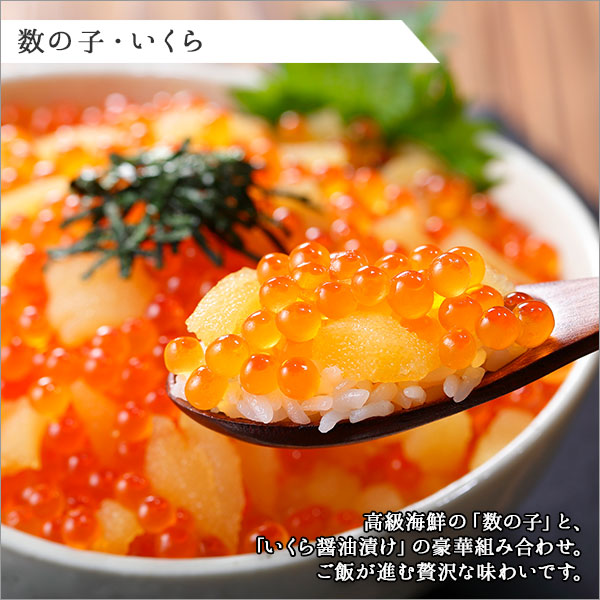 1253.厳選 海鮮丼 数の子・いくら醤油漬け イクラ 魚卵 うに ウニ チリ産 冷凍 雲丹 送料無料 北海道 弟子屈町: 北海道弟子屈町｜JRE  MALLふるさと納税