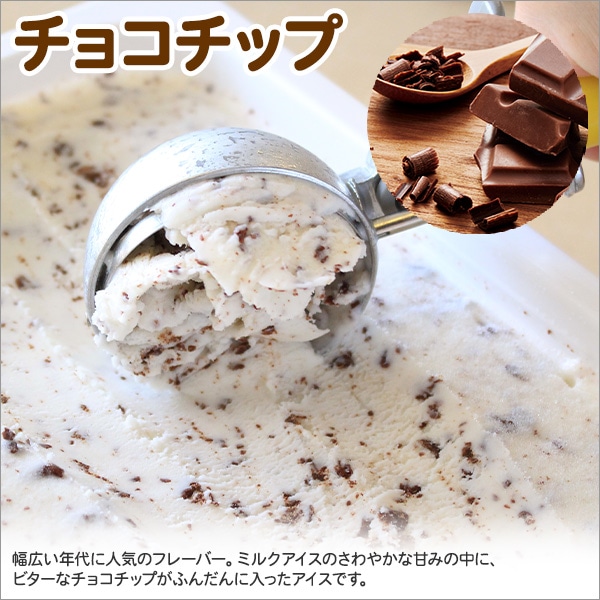 598.アイスクリーム チョコチップ ジェラート チョコ 業務用 2リットル 2L アイス 大容量 手作り 北海道 弟子屈町: 北海道弟子屈町｜JRE  MALLふるさと納税