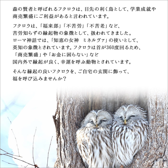 518 木製名入れ 手作り 表札 ふくろう 北国からの贈り物 北海道弟子屈町 Jre Pointが 貯まる 使える Jre Mall