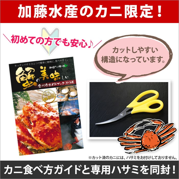 641 北海道 訳あり ボイル ズワイガニ足 800g 期間限定 約2 3人前 専用ハサミ付 数量限定 カニ かに 蟹 海鮮 送料無料 加藤水産 北国からの贈り物 弟子屈町 北海道弟子屈町 Jre Pointが 貯まる 使える Jre Mall