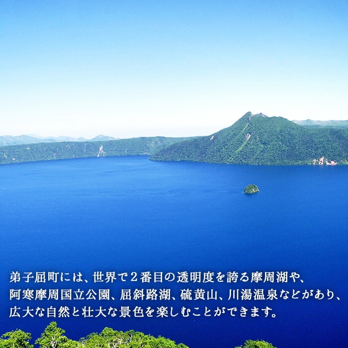 734.厳選 大容量 2種 海鮮丼 鱒 いくら醤油漬け 500g前後 5-6人前 ホタテ 帆立 セット イクラ 魚卵 マス 送料無料 北海道 弟子屈町:  北海道弟子屈町｜JRE MALLふるさと納税