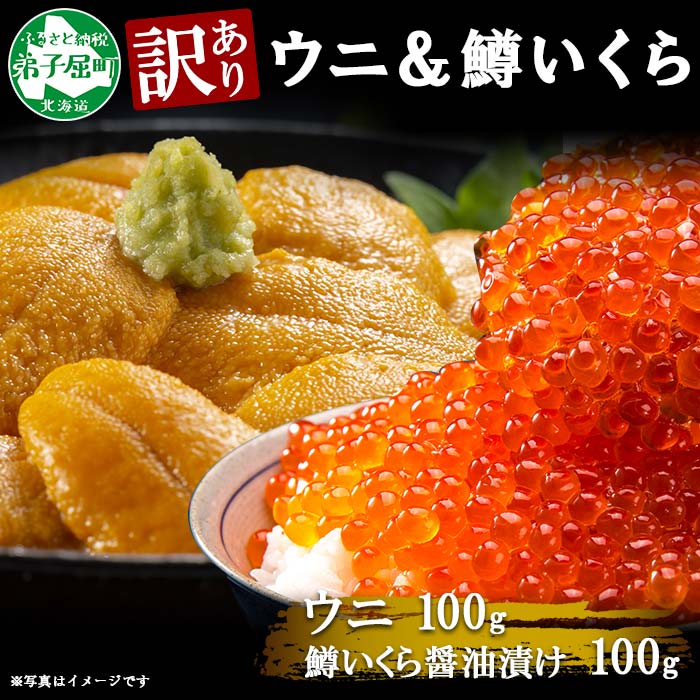 1260.訳あり うに チリ産 冷凍 鱒 いくら 醤油漬け ウニ100g マスいくら 100g 雲丹 不揃い うに わけ あり 海鮮 丼 海鮮丼 刺身  うに丼 いくら丼 魚卵 自宅用 北海道 送料無料 北海道 弟子屈町: 北海道弟子屈町｜JRE MALLふるさと納税