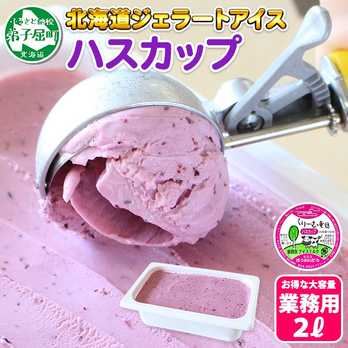 607.アイスクリーム ハスカップ ジェラート 業務用 2リットル 2L