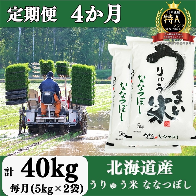年末のプロモーション うりゅう米 ゆめぴりか 5kg×3袋 毎月1回 計4回お