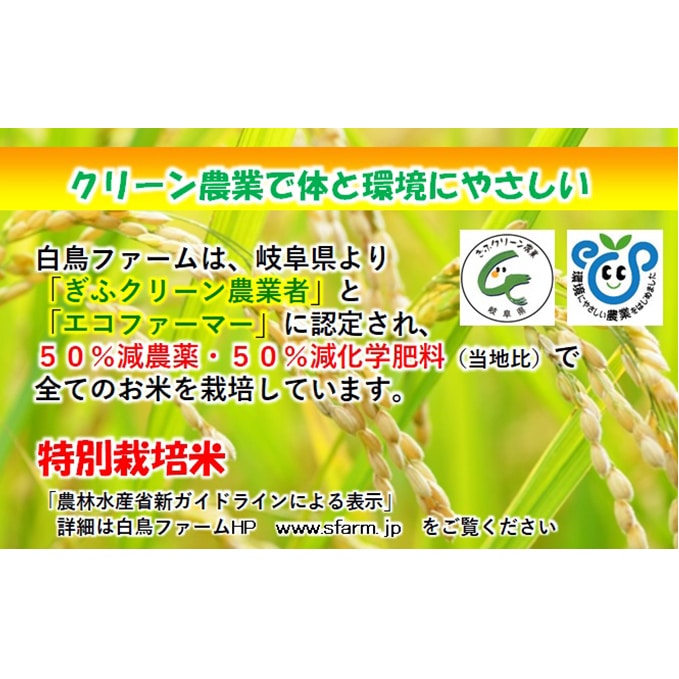 特別栽培米☆白米4kg 【コシヒカリ・ミルキークイーン】: 岐阜県池田町｜JRE MALLふるさと納税