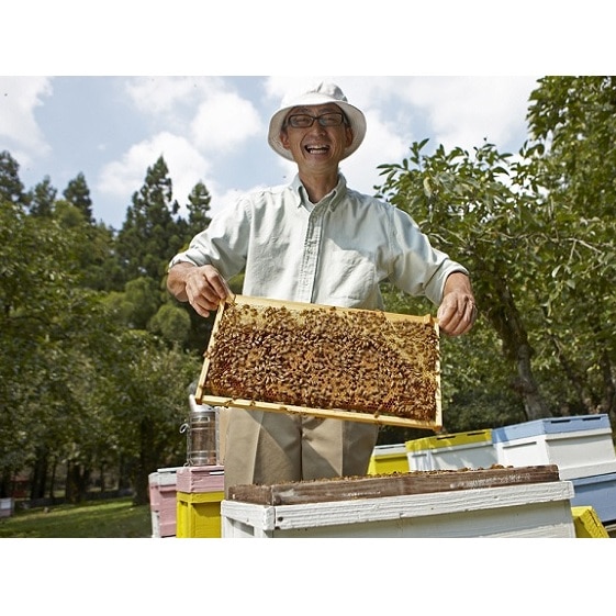 国産 生産直送 春日養蜂場のはちみつ1kg2本セット（武将シリーズ島津