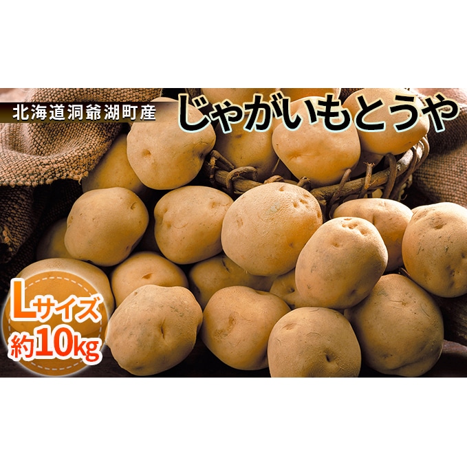 北海道洞爺湖町産じゃがいもとうや(Lサイズ)約10kg ※10月初旬より順次出荷: 北海道洞爺湖町｜JRE MALLふるさと納税