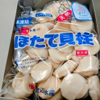 23-42 【中国禁輸措置生産地支援品】ほたて貝柱(冷凍) 1kg: 北海道紋別