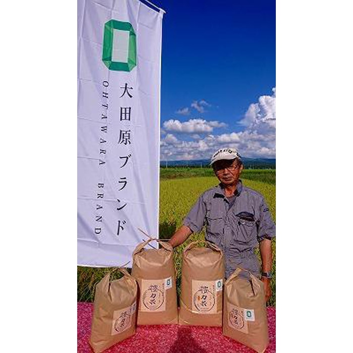 ふるさと納税】【淡路夢ファーム】コシヒカリ（玄米）10キロ：兵庫県