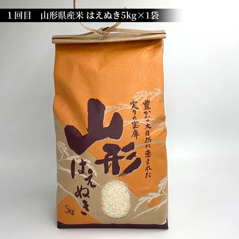 先行予約》山形県産米 5kg 食べ比べ定期便（全5回） 精米 米 お米