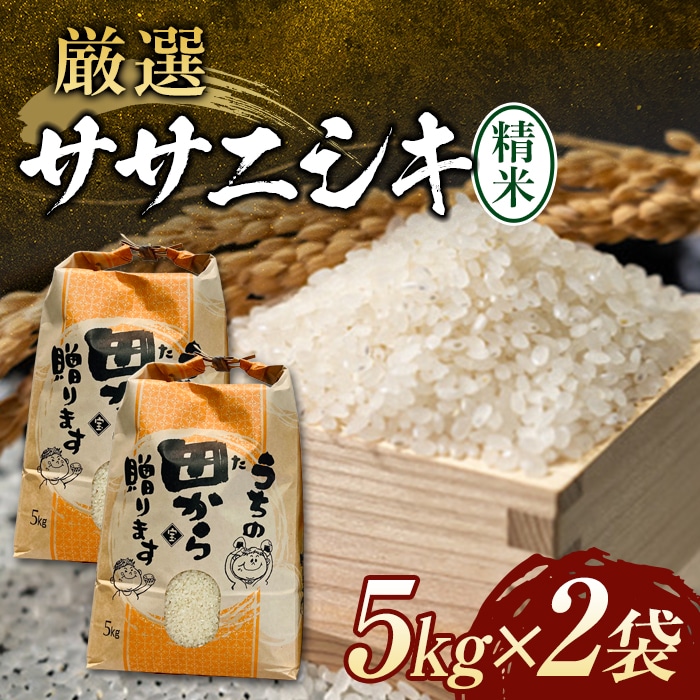 大人の上質 Enjoy様さがびより中米5kg2袋 - teriyakisushiusa.com