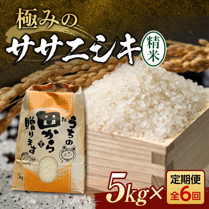 令和5年 『定期便』極みのササニシキ（精米）5kg 全6回 米 お米 おこめ