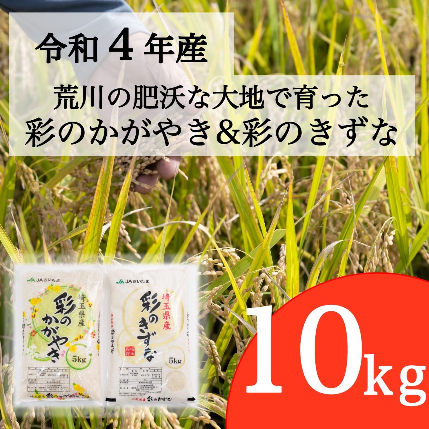 令和4年産】埼玉県産 彩のかがやき 彩のきずな 食べ比べセット【合計