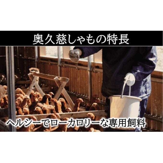 奥久慈 しやも肉 定期便 3ヶ月連続お届け お肉 鶏肉 軍鶏 ささみ