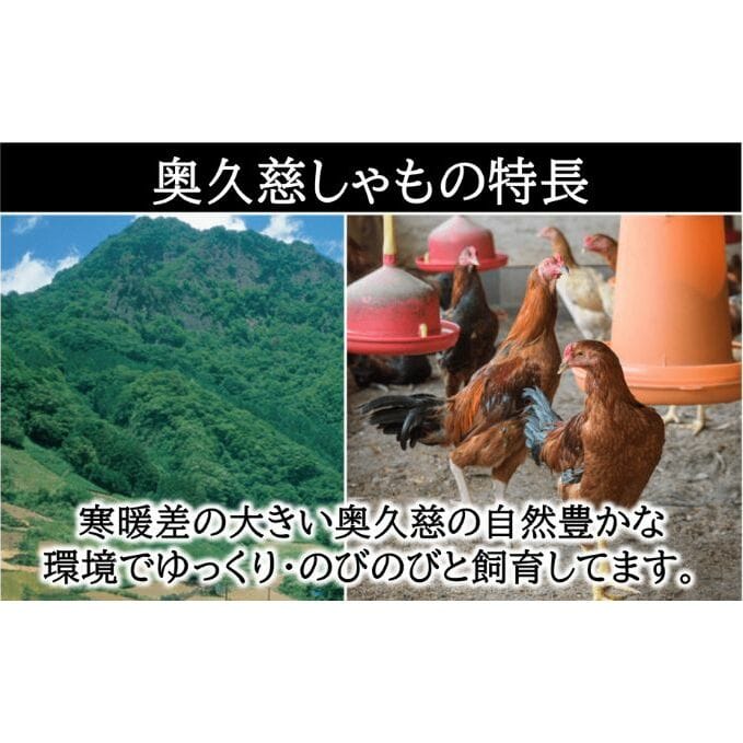 奥久慈 しやも肉 定期便 3ヶ月連続お届け お肉 鶏肉 軍鶏 ささみ