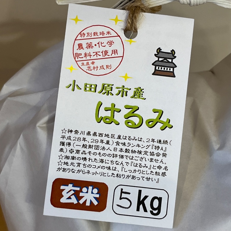 志村屋米穀店 令和5年産新米小田原市産 農薬・化学肥料不使用はるみ