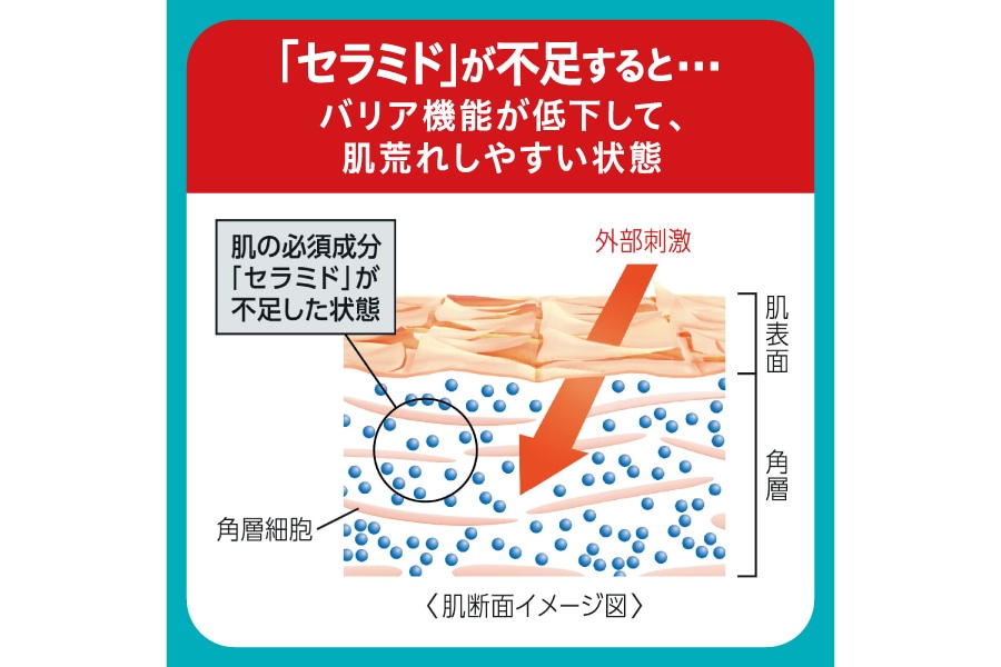 定期便3ヶ月 花王 キュレル 湿潤保湿 化粧水I ややしっとり【 化粧品