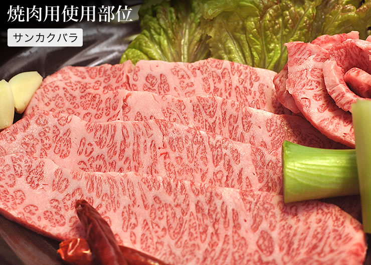 ふるさと納税 牛肉 定期便 9回 幻の相州黒毛和牛肩肉 1 2kg 9回 計10 8kg 相州牛 相州和牛 神奈川県 小田原市 神奈川県小田原市 Jre Pointが 貯まる 使える Jre Mall