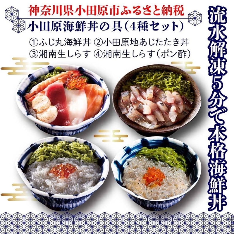 ふるさと納税 小田原海鮮丼の具 4種セット 海鮮 神奈川県 小田原市 神奈川県小田原市 Jre Pointが 貯まる 使える Jre Mall