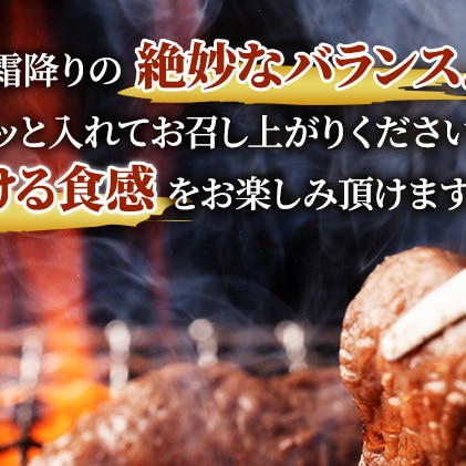 牛肉 冨士屋牛肉店がお届けする 葉山牛 焼肉 ロース 500g 赤身 霜降り