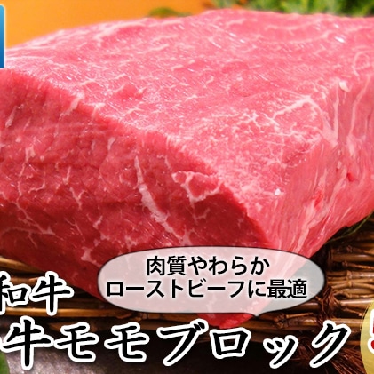 あか牛 モモブロック 500g※配送不可：離島: 熊本県山都町｜JRE MALLふるさと納税