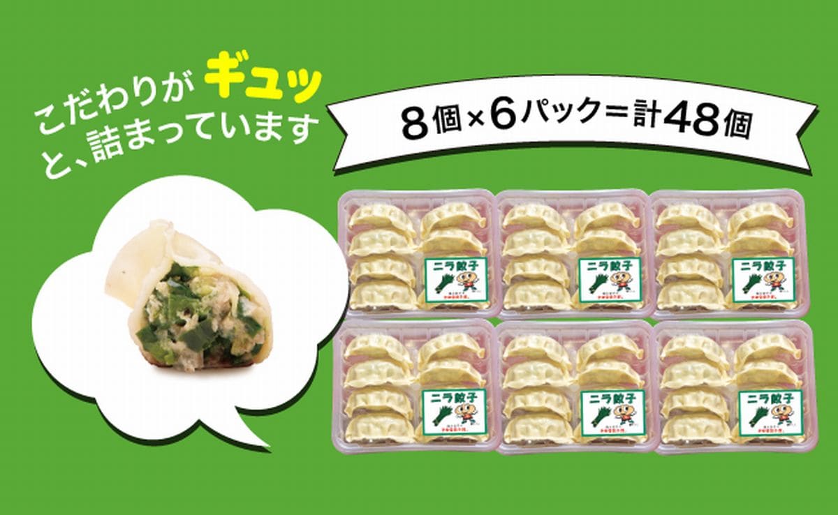 宇都宮餃子館」ニラ餃子 960ｇ（４８個）≪ギョーザ 冷凍餃子 冷凍食品 グルメ 食品 惣菜 中華惣菜 点心 中華≫: 栃木県さくら市｜JRE MALL ふるさと納税