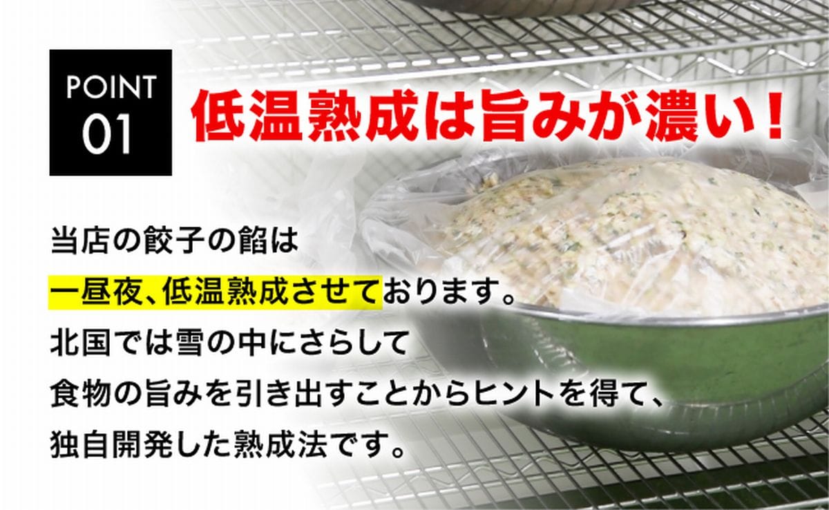 宇都宮餃子館」ニラ餃子 960ｇ（４８個）≪ギョーザ 冷凍餃子 冷凍食品 グルメ 食品 惣菜 中華惣菜 点心 中華≫: 栃木県さくら市｜JRE MALL ふるさと納税