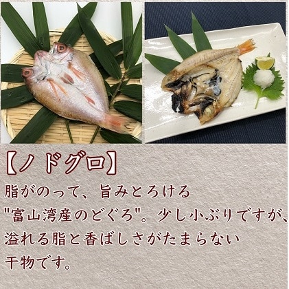 数量限定 富山湾産天然魚の干物3種詰め合わせ のどぐろ キジハタ アカガレイ 富山県魚津市 Jre Mallふるさと納税