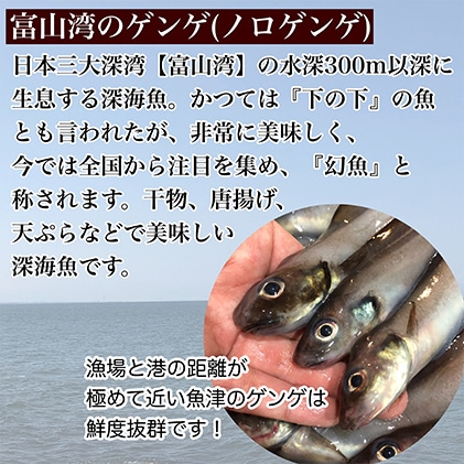 富山湾深海魚 サク旨 ゲンゲの上干し 5袋 ゲンゲの干物 ハマオカ海の幸 富山県魚津市 Jre Pointが 貯まる 使える Jre Mall