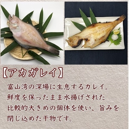 数量限定 富山湾産天然魚の干物3種詰め合わせ のどぐろ キジハタ アカガレイ 富山県魚津市 Jre Mallふるさと納税