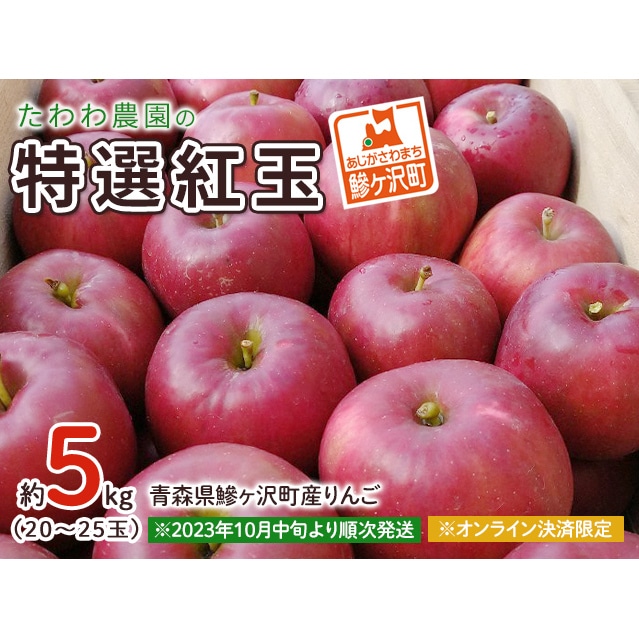 青森県産農薬不使用サンフジりんご10キロ送料無料 - 果物