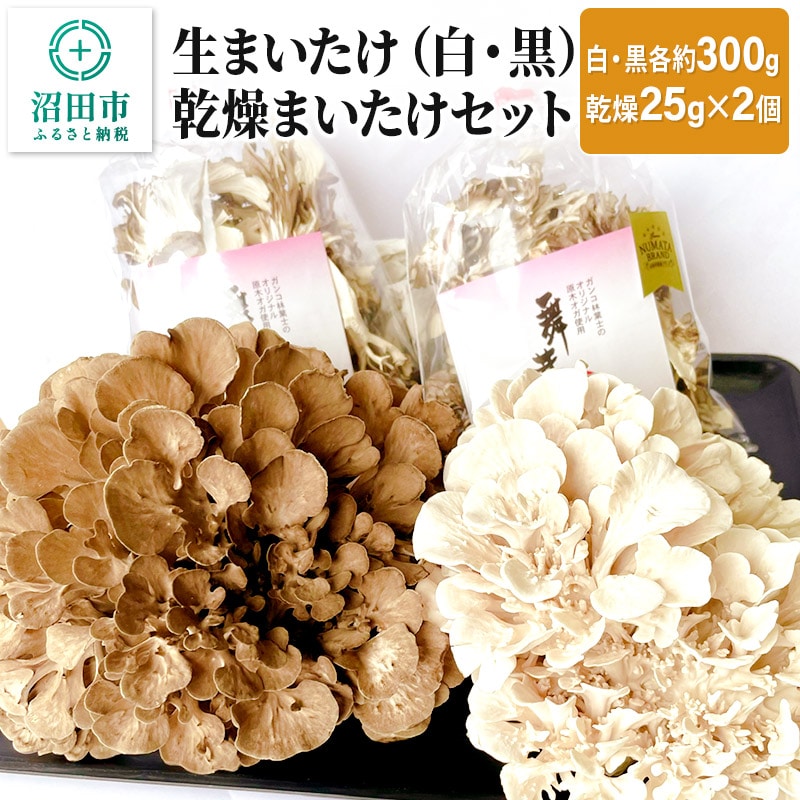 生まいたけ（白・黒）各約300g＋乾燥まいたけ25g×2個 セット: 群馬県