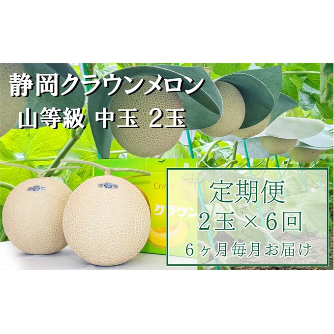 ふるさと納税 クラウンメロン 並 1.3kg前後 1玉入り 静岡県浜松