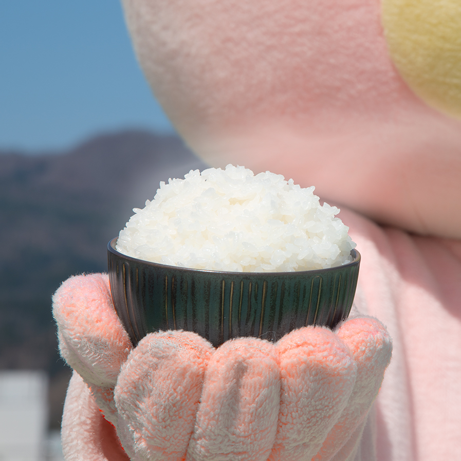 朝日町産コメ「つや姫・雪若丸」食べ比べ令和4年産10kg: 山形県朝日町｜JRE MALLふるさと納税