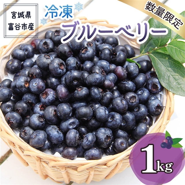 2023年 富谷市産] 冷凍ブルーベリー 1kg｜国産 特産 名産 フルーツ 令