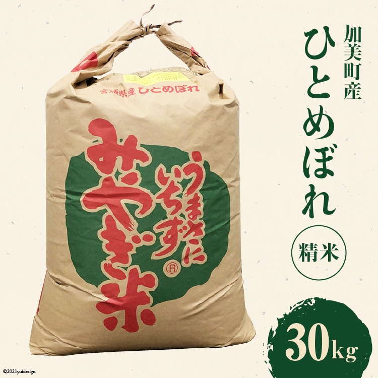 米 令和4年産 加美町産 ひとめぼれ 精米 30kg / JA加美よつば（営農