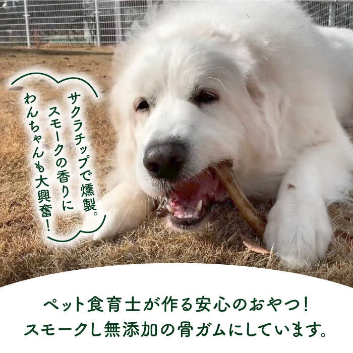 6回定期便＞大型犬向け☆天然いのししのスモーク骨ガム3本 わんこin