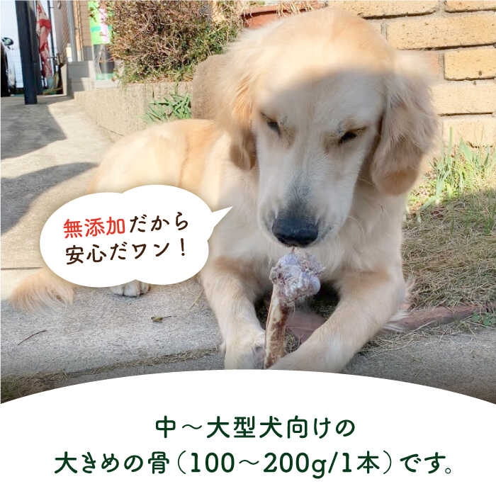 6回定期便＞大型犬向け☆天然いのししのスモーク骨ガム3本 わんこin